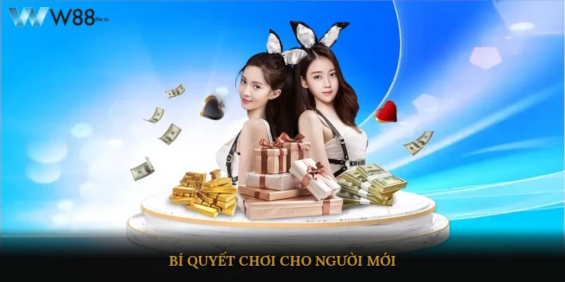 Bí quyết chơi cho người mới