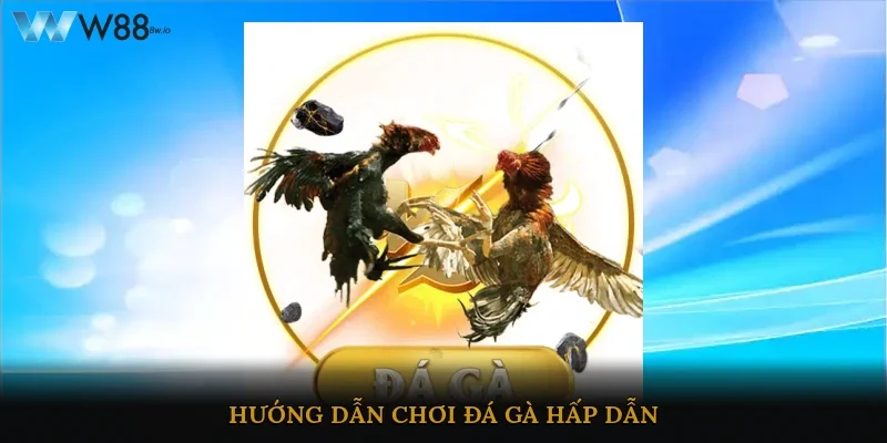 Hướng dẫn chơi đá gà hấp dẫn