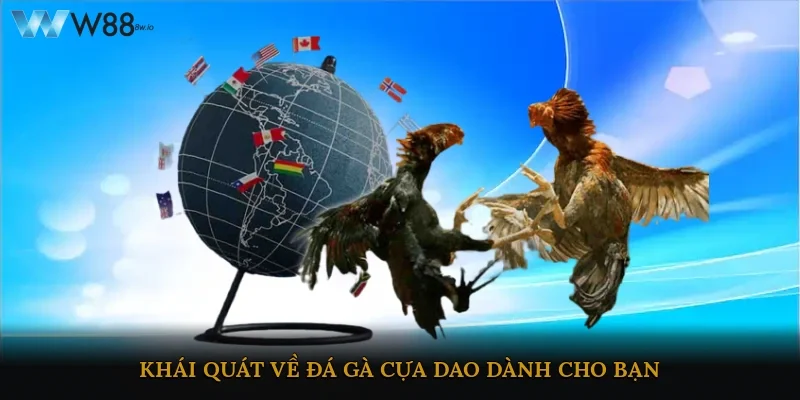 Khái quát về đá gà cựa dao dành cho bạn