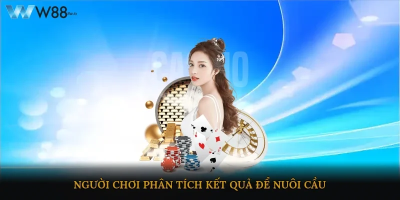 Người chơi phân tích kết quả để áp dụng chiến thuật nuôi cầu
