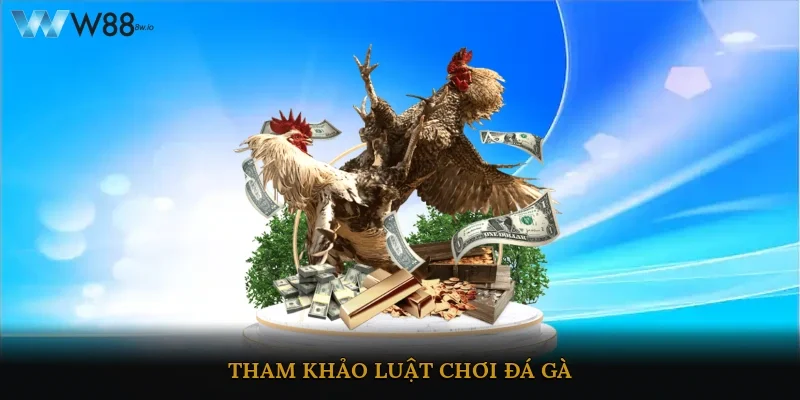 Tham khảo luật chơi đá gà 