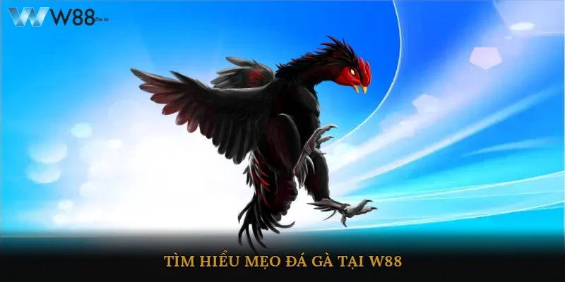 Tìm hiểu mẹo đá gà tại W88